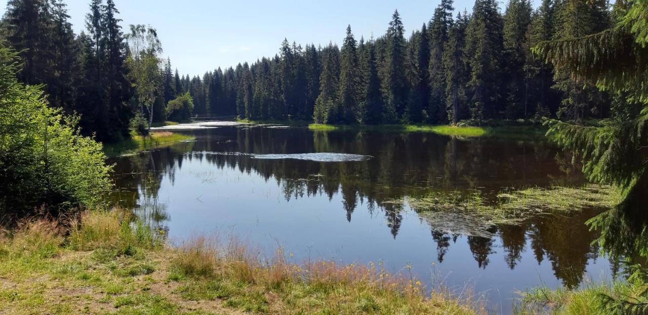 Penzion Jizerska Malina Bedřichov エクステリア 写真